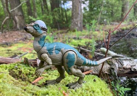  Khủng long HLT50 Jurassic World Hammond Collection Pachycephalosaurus 