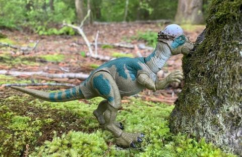  Khủng long HLT50 Jurassic World Hammond Collection Pachycephalosaurus 