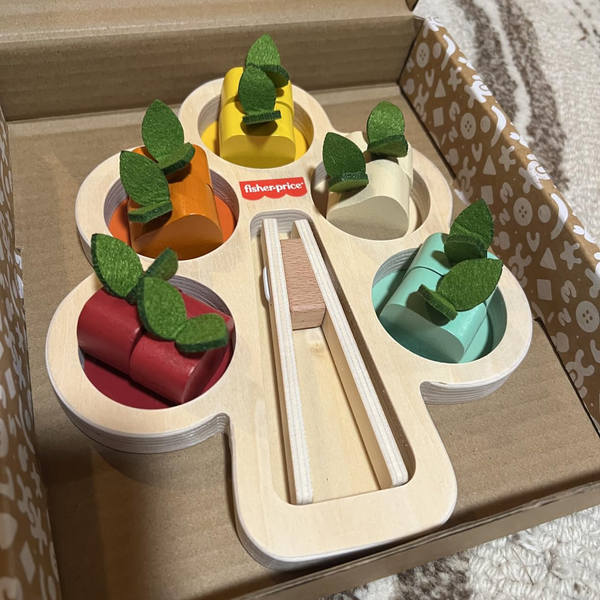 JDM55 Fisher-Price Wood Montessori Toy Sorting Tree