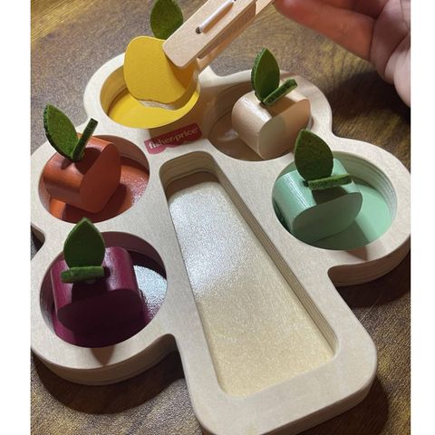  Đồ chơi gỗ JDM55 Fisher-Price Wood Montessori Toy Sorting Tree 