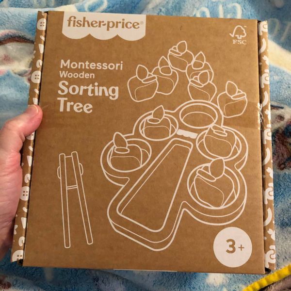 JDM55 Fisher-Price Wood Montessori Toy Sorting Tree