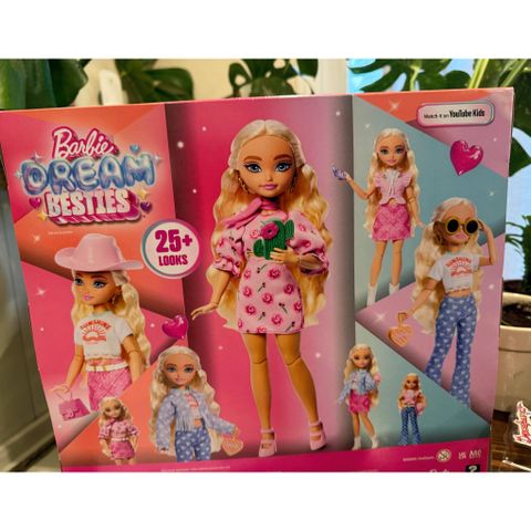  Bộ búp bê JGH87 Dream Besties Festival looks Barbie 
