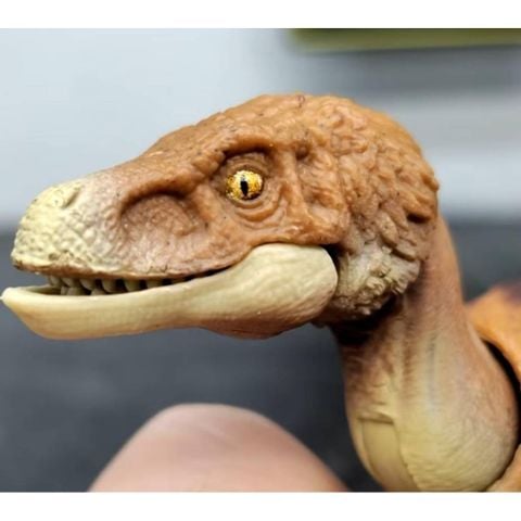  Khủng long JKM91 Jurassic World Hammond Collection Ornitress Children's Figure 