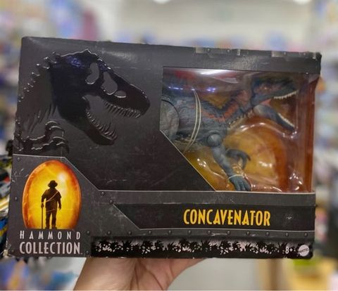  Khủng long HLP36 Mattel Jurassic Park World Hammond Collection Concavenator Figure 