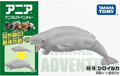  AS-16 Mô hình cá voi trắng Beluga 