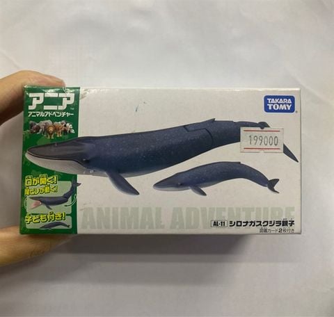  AL-11 Blue Whale 