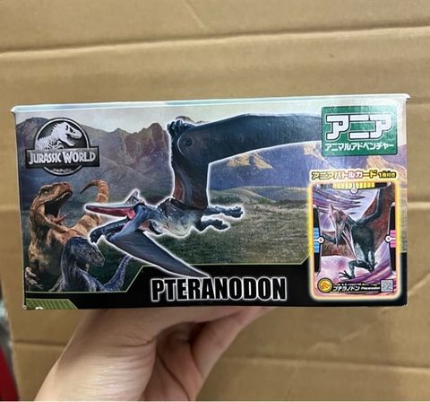  Khủng long ANIA Jurassic World Pteranodon Battle Card set 
