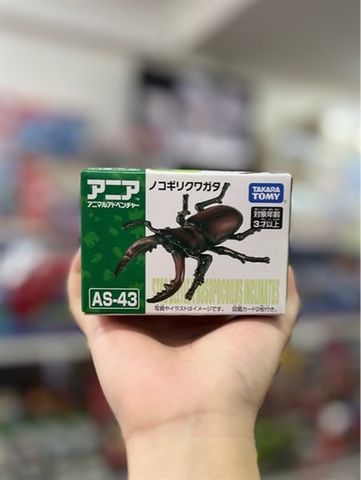  Ania AS-43 Sawtooth Stag Beelte 