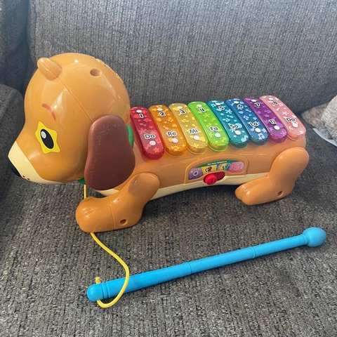  80-571000 Vtech Zoo Jamz Doggy Xylophone 
