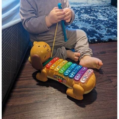  80-571000 Vtech Zoo Jamz Doggy Xylophone 
