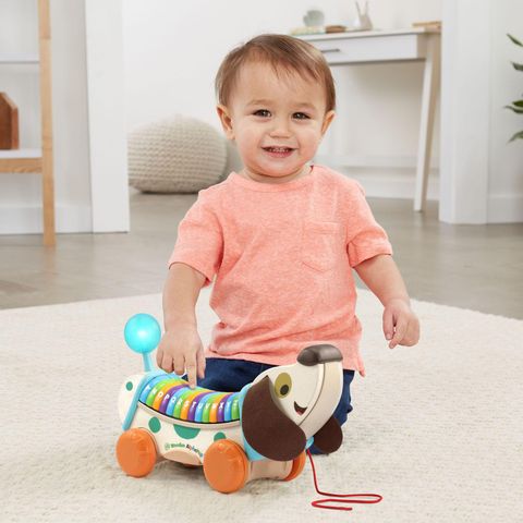  Đồ chơi học chữ 80-615200 LeapFrog Wooden AlphaPup 