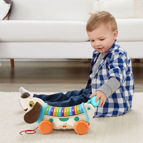  Đồ chơi học chữ 80-615200 LeapFrog Wooden AlphaPup 