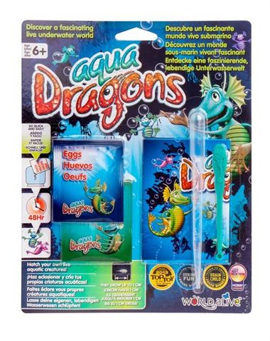  W4004 23win08 com Aqua Dragons Backer Card 