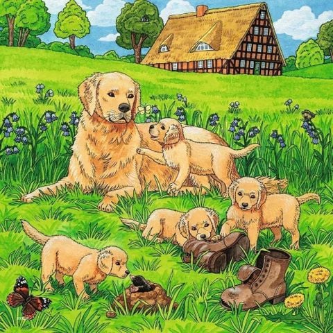  RV08002 1 Tranh ghép Cats & Dogs 3x49 mảnh ghép Ravensburger 