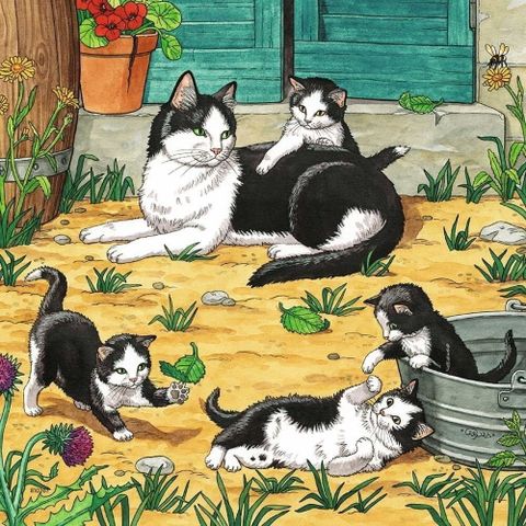  RV08002 1 Tranh ghép Cats & Dogs 3x49 mảnh ghép Ravensburger 