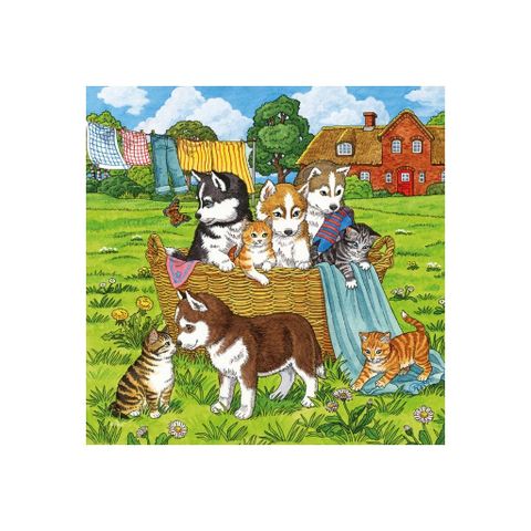  RV08002 1 Tranh ghép Cats & Dogs 3x49 mảnh ghép Ravensburger 