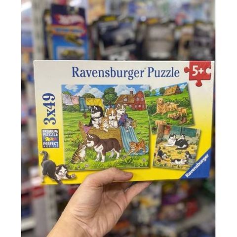  RV08002 1 Tranh ghép Cats & Dogs 3x49 mảnh ghép Ravensburger 