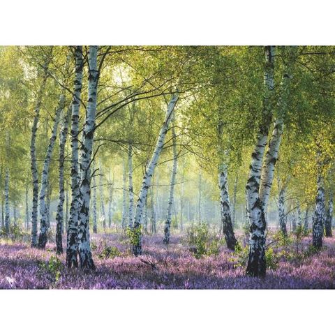  Xếp hình puzzle Birch Forest 1000 mảnh RAVENSBURGER 167531 