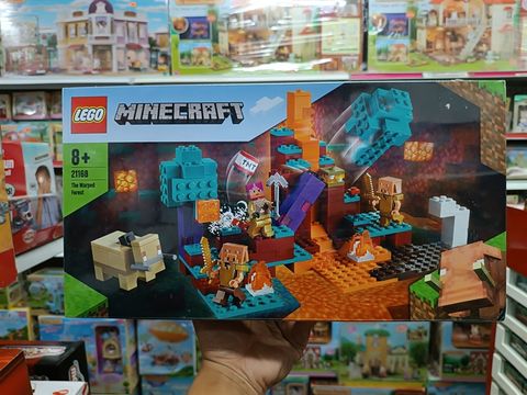  LEGO 21168 The Warped Forest 