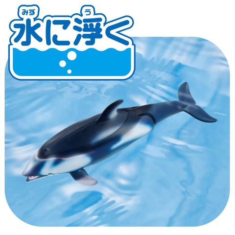  Mô hình cá heo ANIA AL-40 White Sided Dolphin（Float Ver.） 