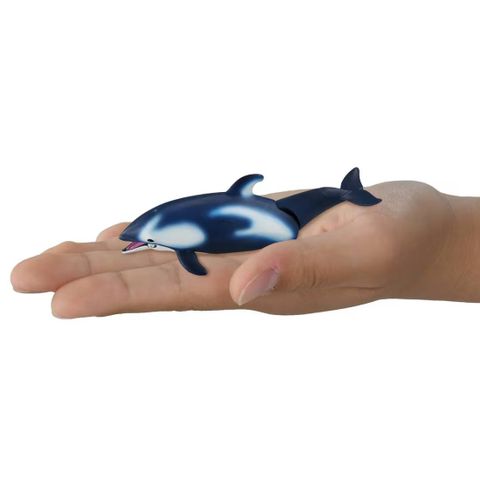  Mô hình cá heo ANIA AL-40 White Sided Dolphin（Float Ver.） 