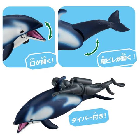  Mô hình cá heo ANIA AL-40 White Sided Dolphin（Float Ver.） 