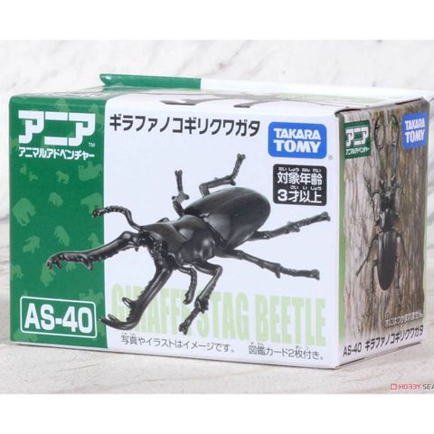  Mô hình Ania AS-40 Prosopocoilus Giraffa 