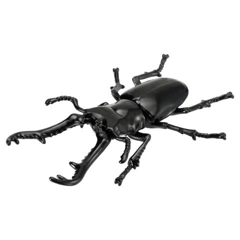  Mô hình Ania AS-40 Prosopocoilus Giraffa 