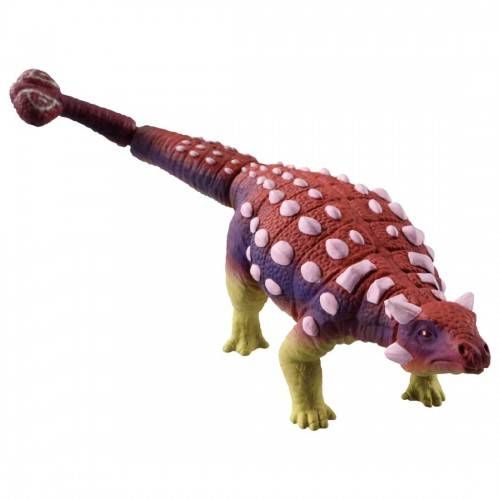  Mô hình Ania Adventure Continent Ania Kingdom Gotts (Ankylosaurus) 