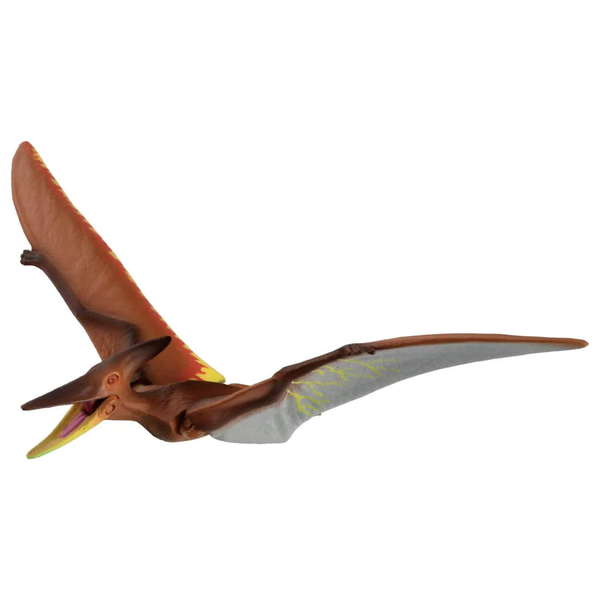 Mô hình khủng long Ania Kingdom Pteira (Pteranodon)