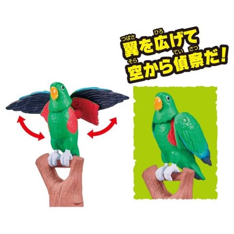  Mô hình Ania Kingdom Eddie (Moluccan eclectus) 