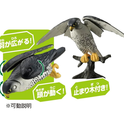  Mô hình chim cắt săn mồi ANIA AS-44 Peregrine falcon 