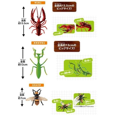  Bộ mô hình Ania Animal Nature's Strongest Creatures Set 