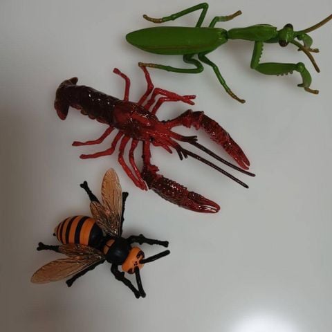  Bộ mô hình Ania Animal Nature's Strongest Creatures Set 