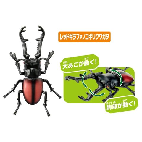  Bộ mô hình bọ ANIA AA-05 Insect Set 