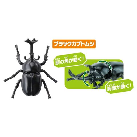  Bộ mô hình bọ ANIA AA-05 Insect Set 