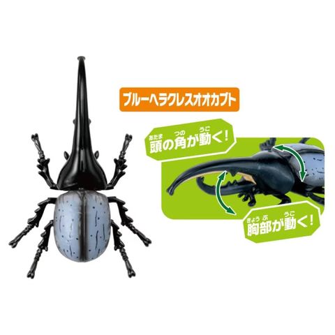  Bộ mô hình bọ ANIA AA-05 Insect Set 
