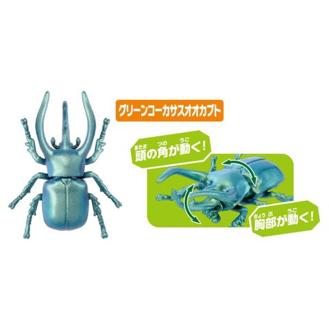  Bộ mô hình bọ ANIA AA-05 Insect Set 