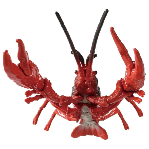  Tôm Hùm Đất Mỹ AL-31 American Crayfish 