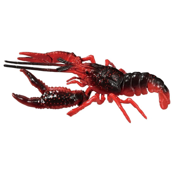 Tôm Hùm Đất Mỹ AL-31 American Crayfish