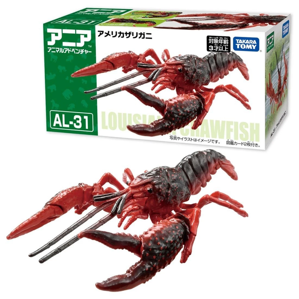 Tôm Hùm Đất Mỹ AL-31 American Crayfish