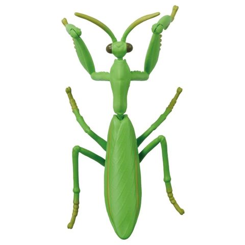  Mô Hình Bọ Ngựa AL-32 Giant Mantis 