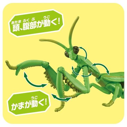  Mô Hình Bọ Ngựa AL-32 Giant Mantis 