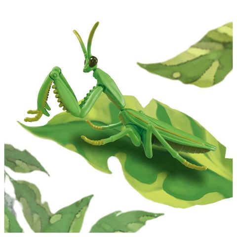  Mô Hình Bọ Ngựa AL-32 Giant Mantis 
