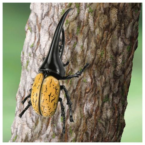  Mô hình bọ ANIA AL-17 hercules beetle 