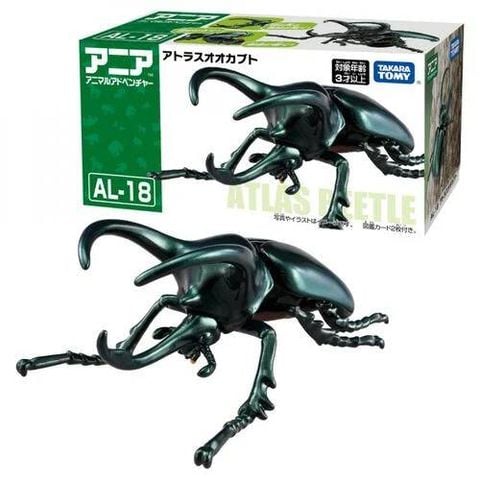  Mô hình bọ cánh cứng Ania AL-18 Atlas Beetle 