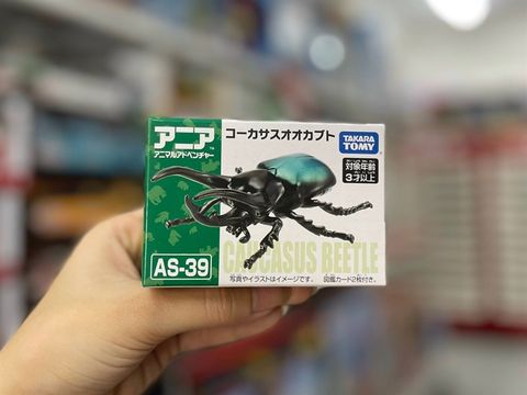  AS-39 Three Horned Beetle 
