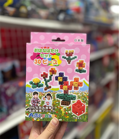  76661 23win08 com xếp hình đa diện - Các loài hoa quanh em 