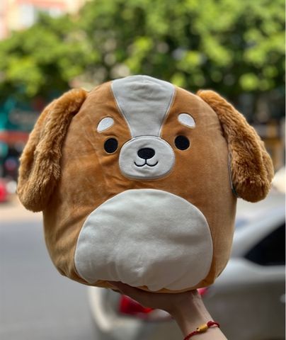  Squishmallows chó nâu Ysabel 40cm 