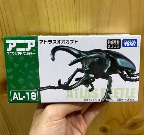  Mô hình bọ cánh cứng Ania AL-18 Atlas Beetle 